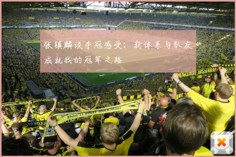 张镇麟谈夺冠感受：新体系与队友成就我的冠军之路