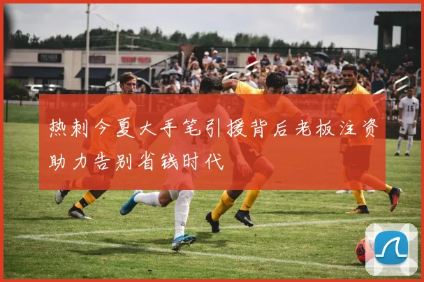 热刺今夏大手笔引援背后老板注资助力告别省钱时代