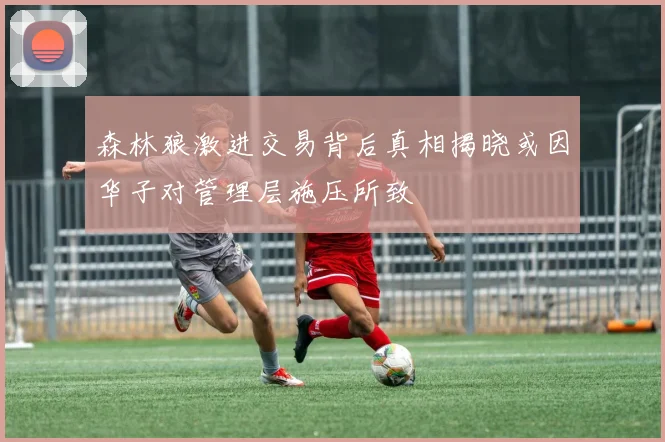 森林狼激进交易背后真相揭晓或因华子对管理层施压所致